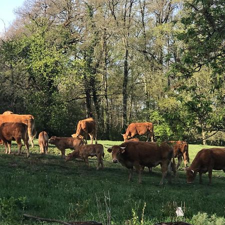 Les Ombrieres Bed & Breakfast Porcheresse Dış mekan fotoğraf