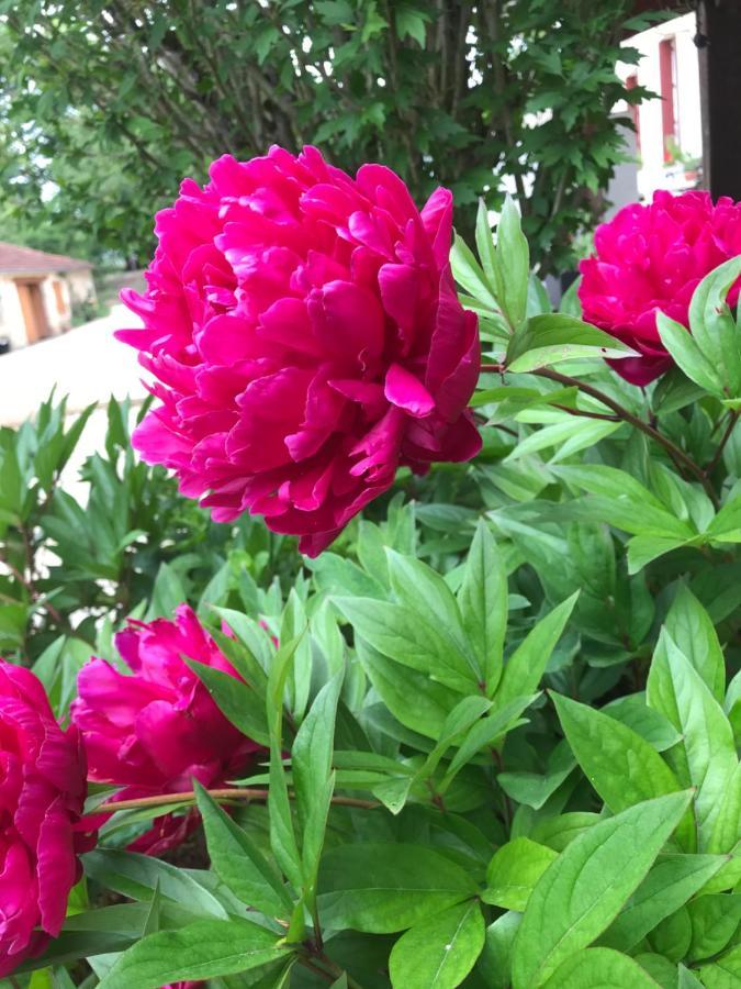 Les Ombrieres Bed & Breakfast Porcheresse Dış mekan fotoğraf